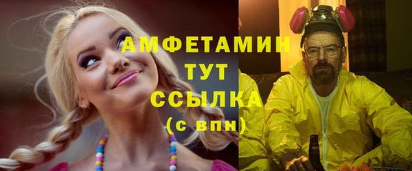 амф Няндома