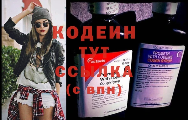 амф Няндома