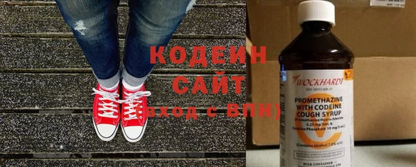 амф Няндома