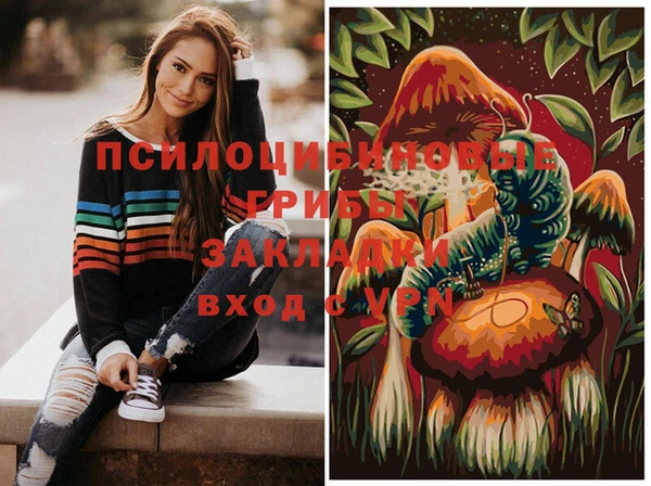 амф Няндома