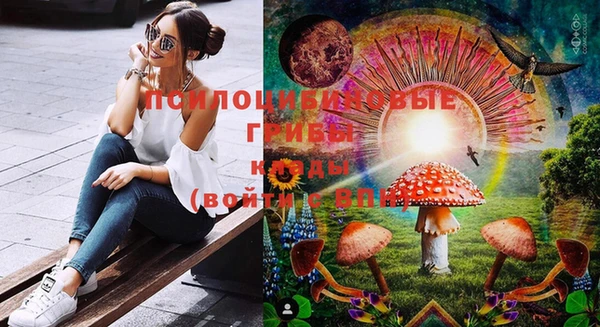 амф Няндома