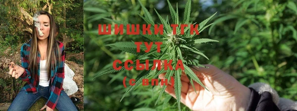 МДПВ Нягань