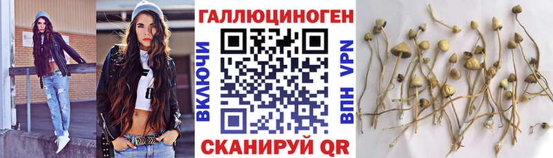 Галлюциногенные грибы мицелий  Коломна 
