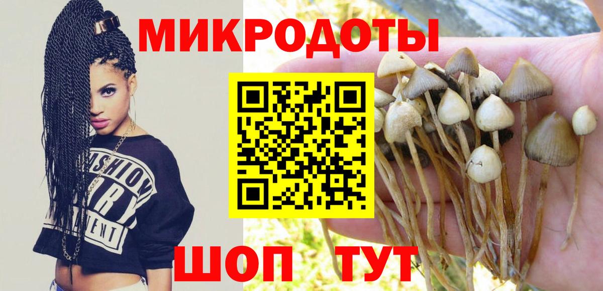 Галлюциногенные грибы мицелий  Вход с VPN  Коломна 