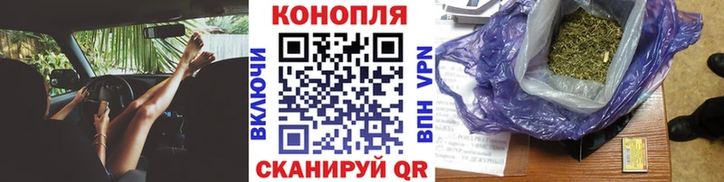Каннабис SATIVA & INDICA  Коломна 